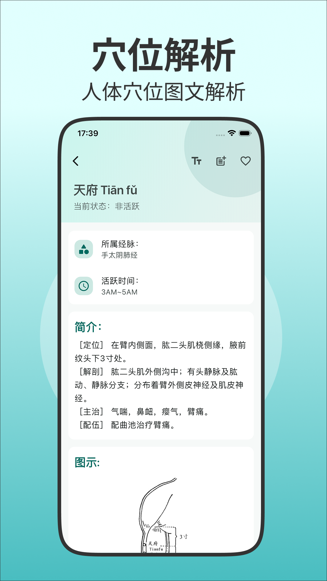 精彩截图-人体穴位图解2026官方新版