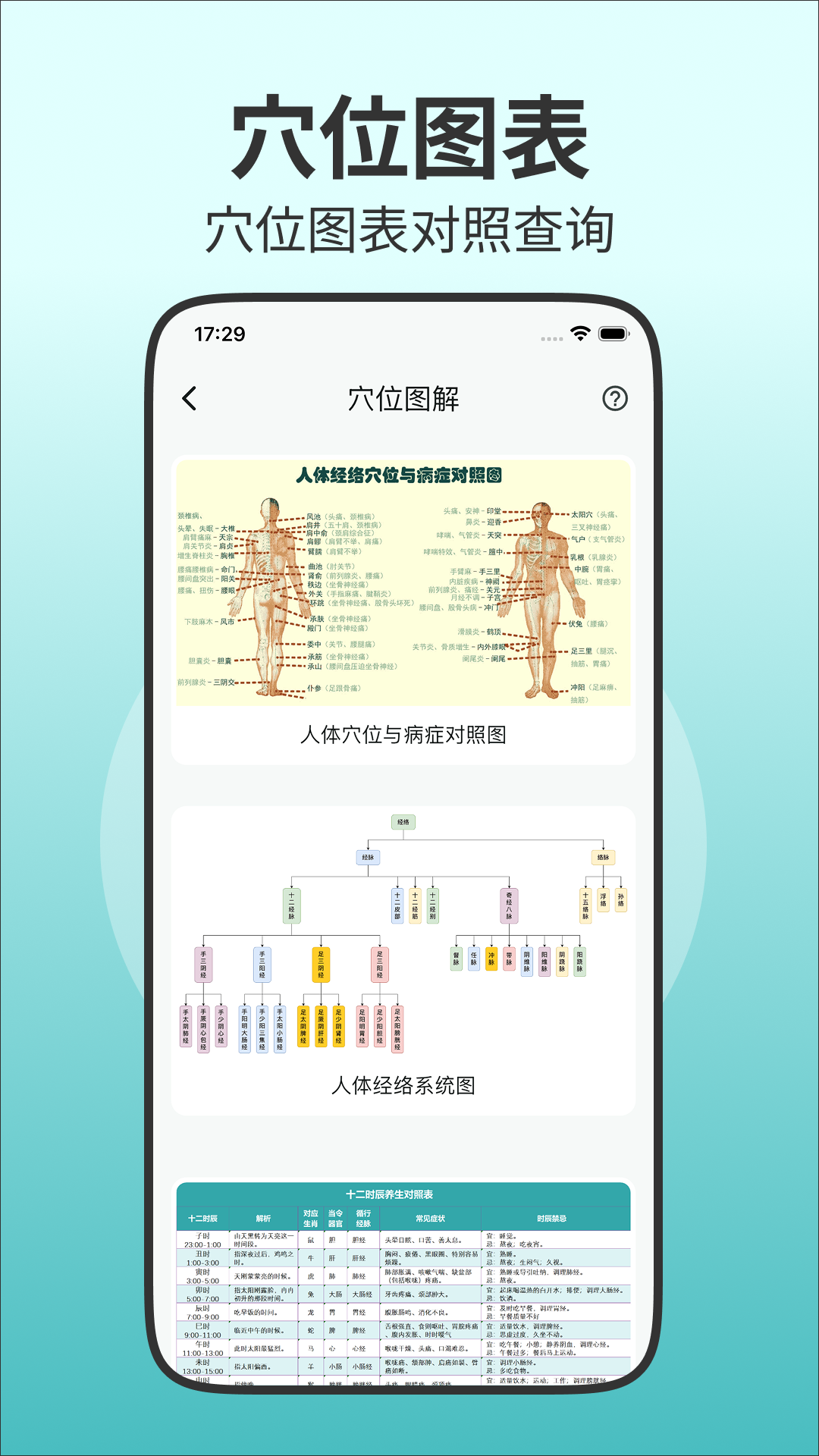 精彩截图-人体穴位图解2026官方新版