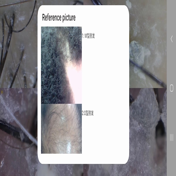 精彩截图-MRKV2026官方新版