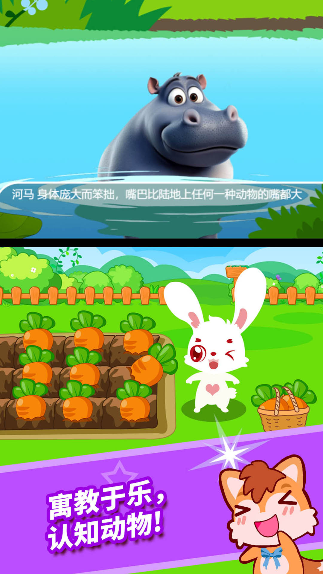 精彩截图-宝宝儿童动物乐园2026官方新版