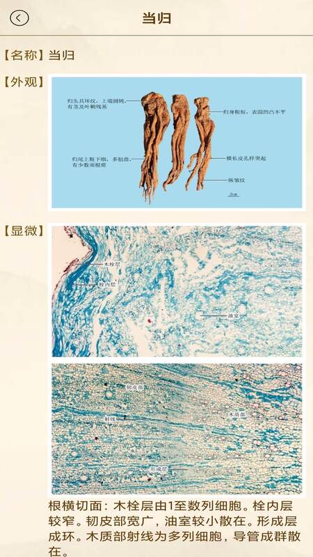 精彩截图-中医方歌2025官方新版