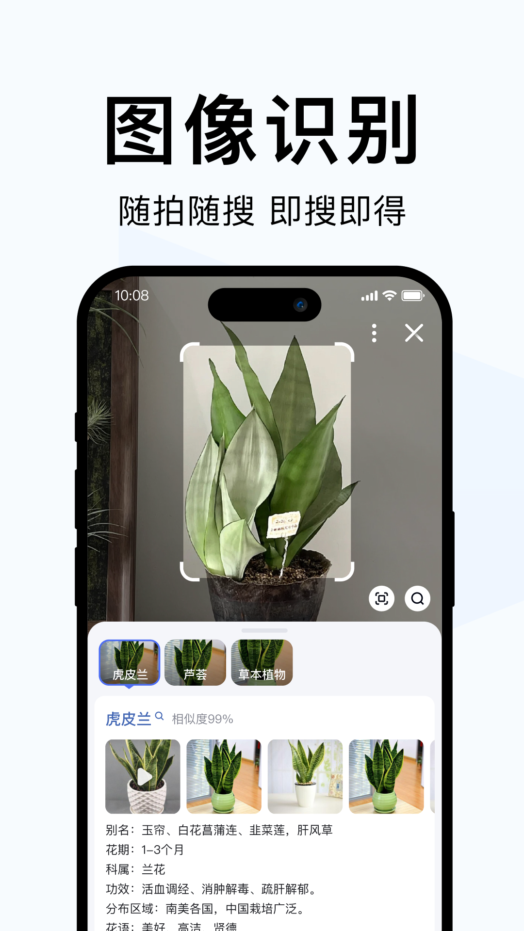 简单搜索截图