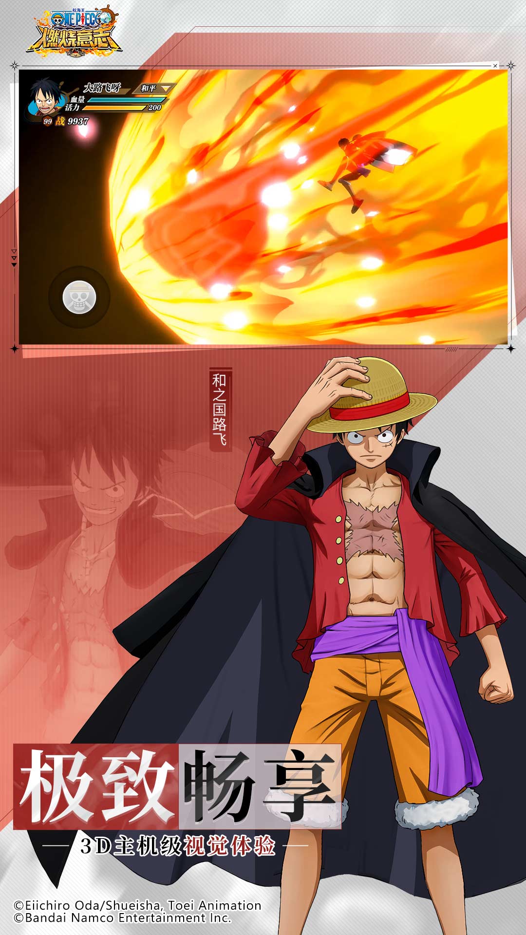 精彩截图-航海王：燃烧意志2025官方新版