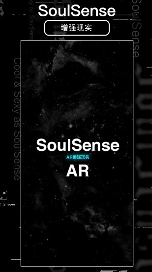 精彩截图-SoulSense2024官方新版