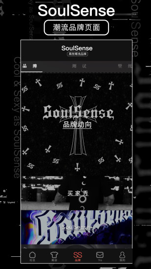 精彩截图-SoulSense2024官方新版