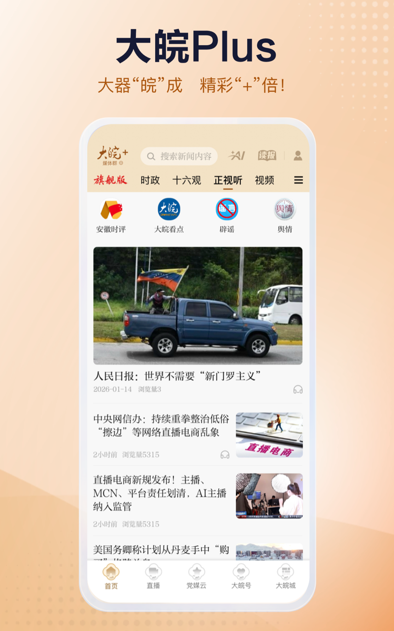 精彩截图-大皖Plus2026官方新版