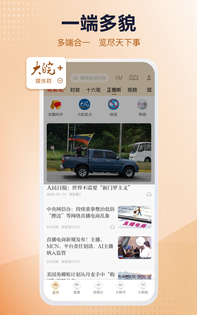 精彩截图-大皖Plus2026官方新版