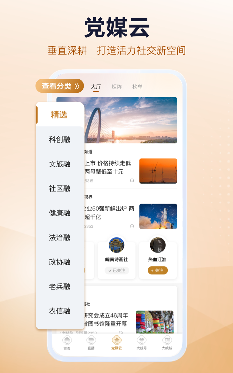 精彩截图-大皖Plus2026官方新版