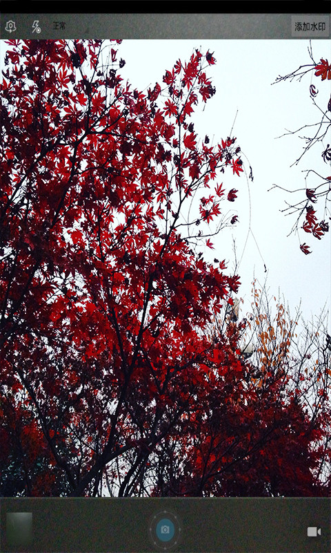 精彩截图-魔力玩图照相机2025官方新版