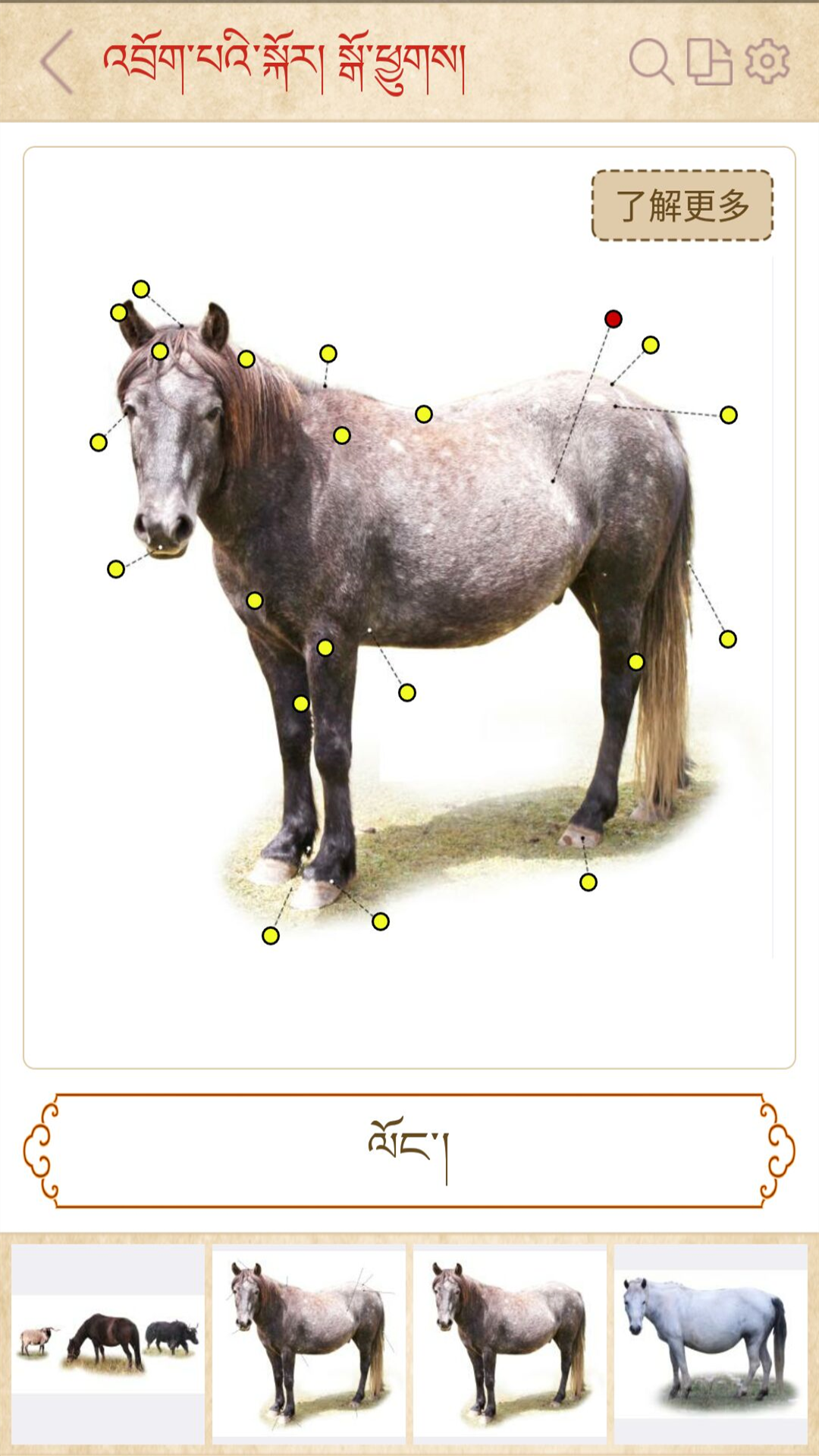 精彩截图-传统图解词典2025官方新版