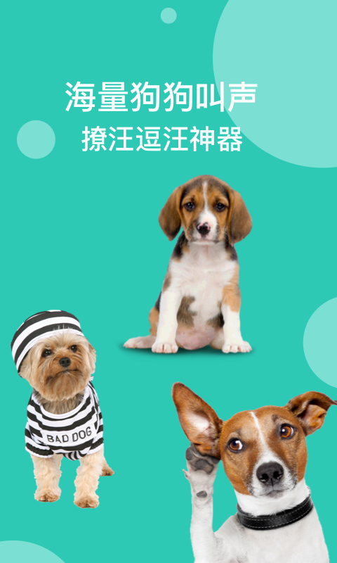 精彩截图-狗语翻译2025官方新版