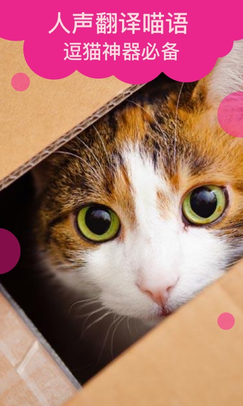 精彩截图-猫语翻译2025官方新版