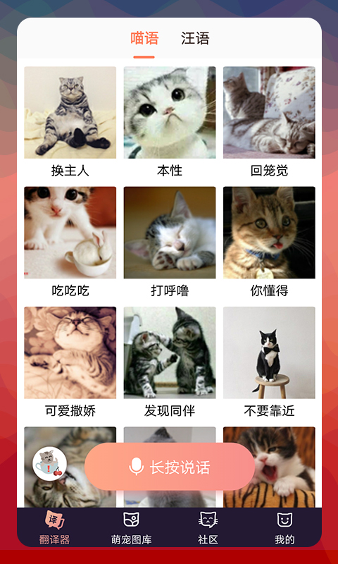 精彩截图-猫语翻译器2024官方新版