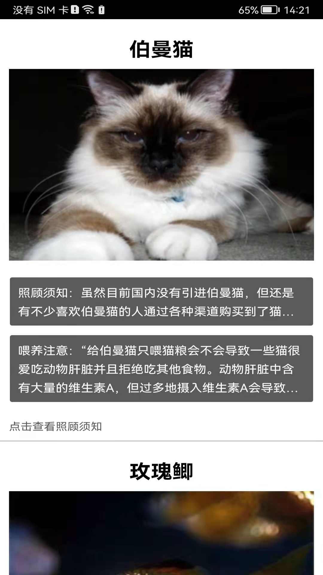 精彩截图-拍照识花神器2025官方新版