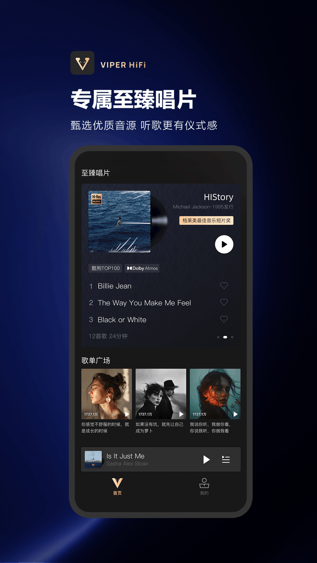 精彩截图-VIPER HiFi2026官方新版