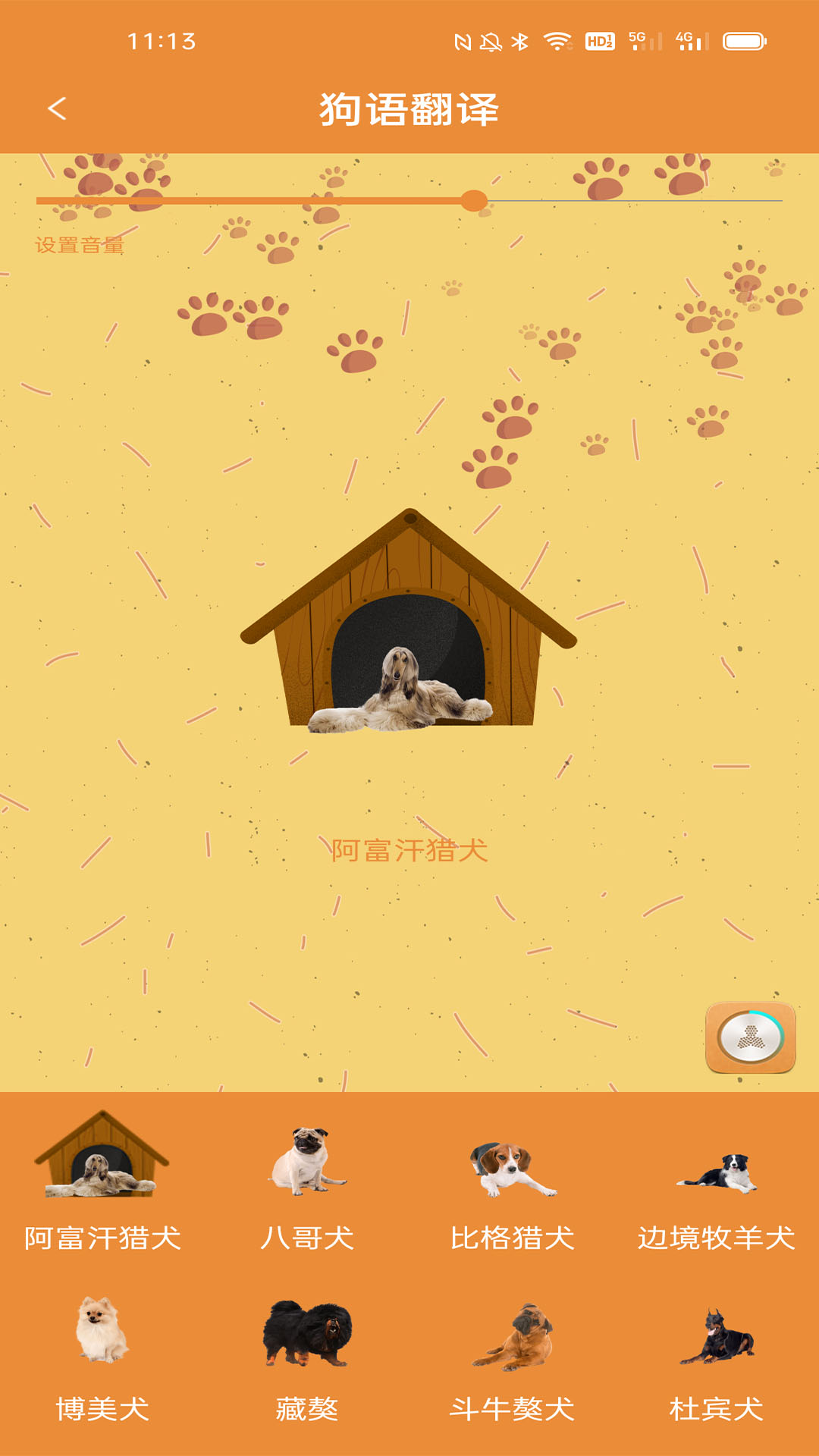 精彩截图-宠物猫狗翻译器2026官方新版