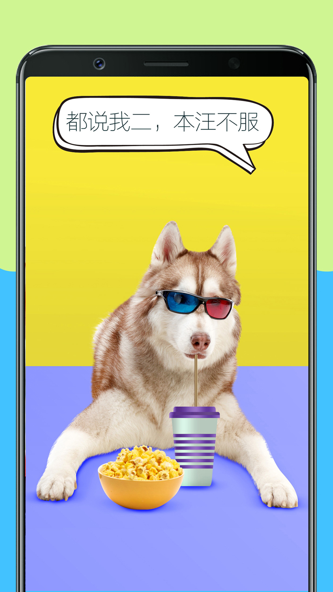 精彩截图-人狗训练翻译器2026官方新版