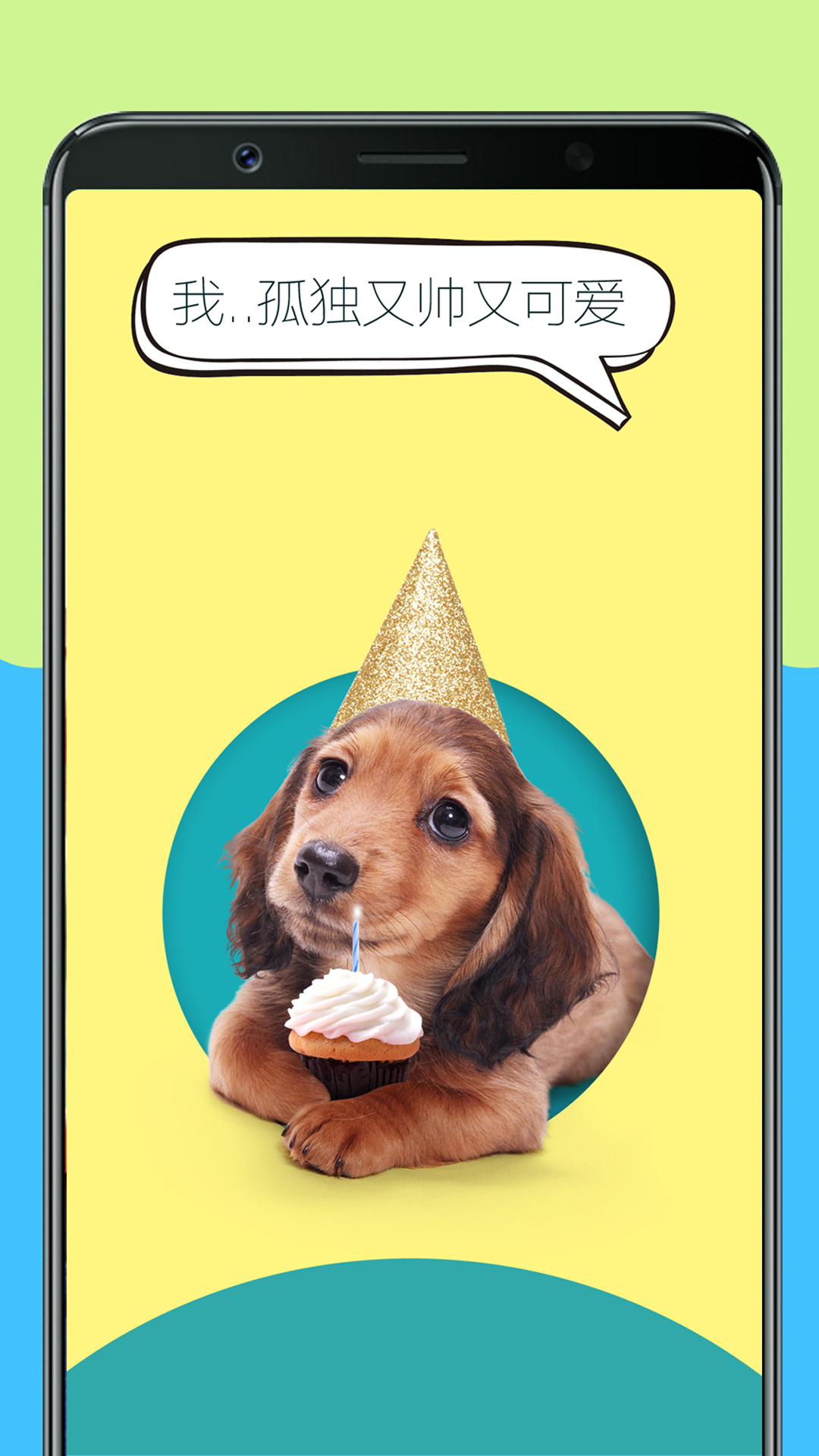 精彩截图-人狗训练翻译器2026官方新版