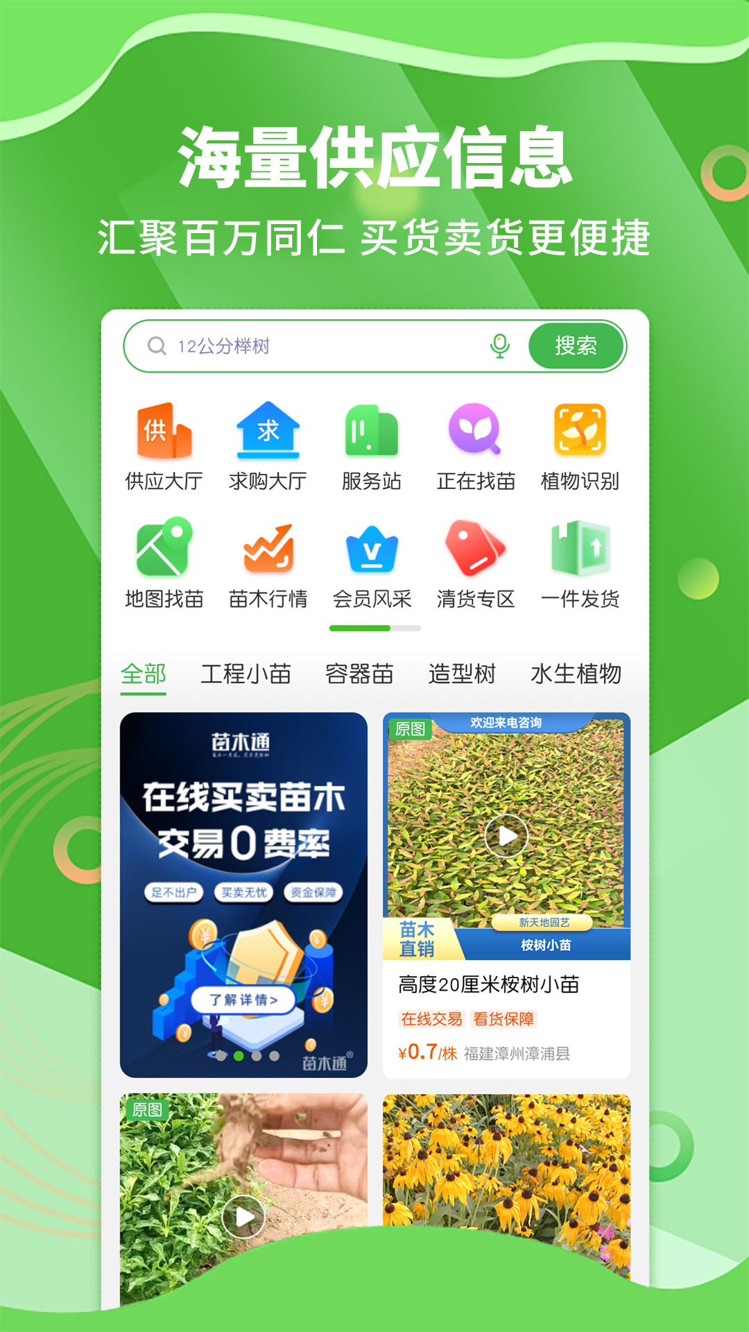 精彩截图-苗木通2026官方新版