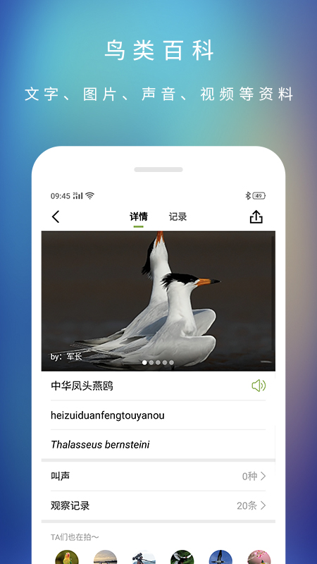 精彩截图-爱鸟2026官方新版