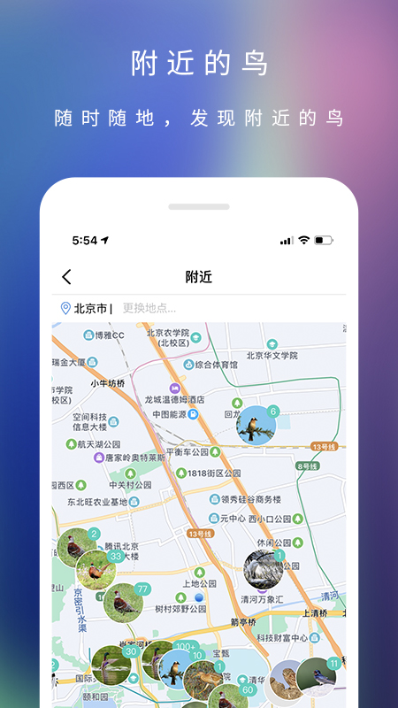 精彩截图-爱鸟2026官方新版