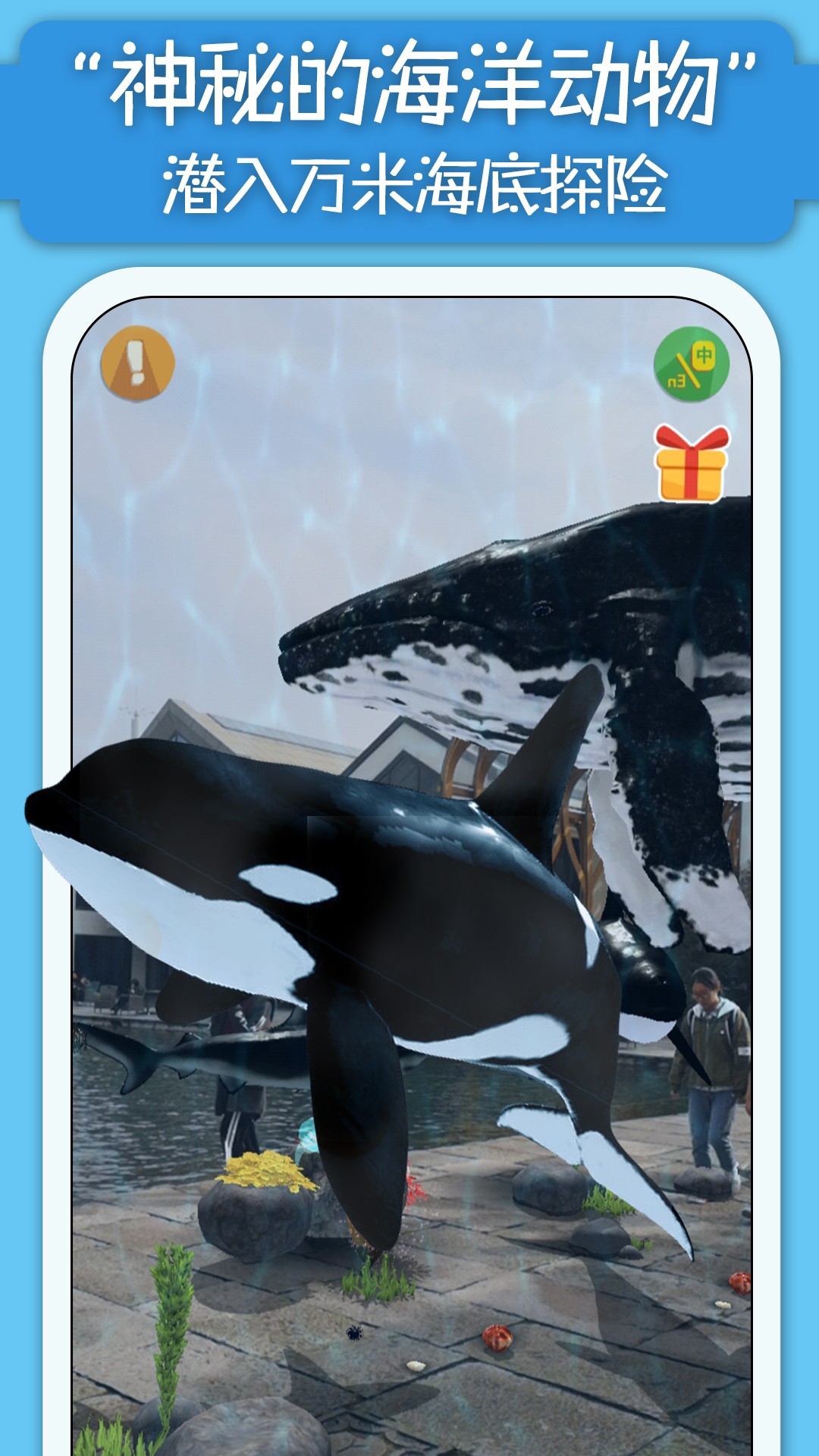 精彩截图-猫小智动物园AR探索恐龙海底森林的软件2026官方新版