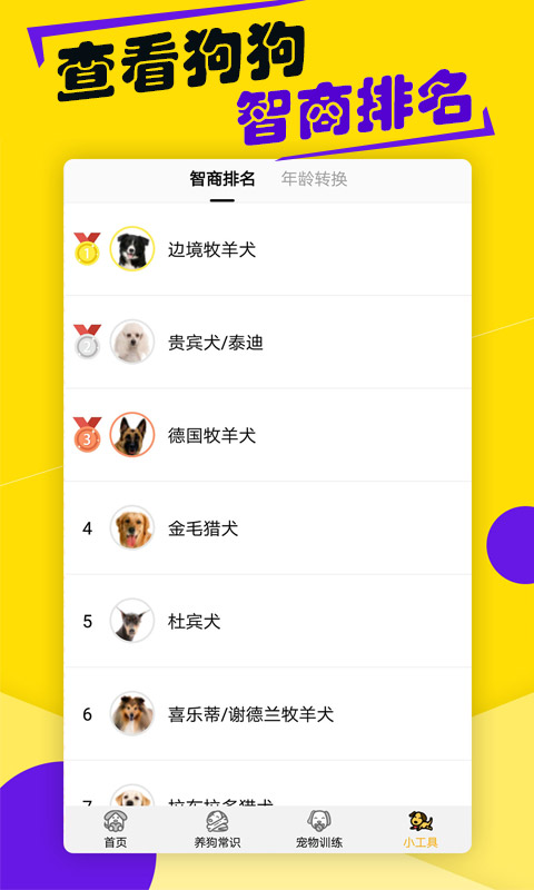 精彩截图-狗语翻译器2025官方新版