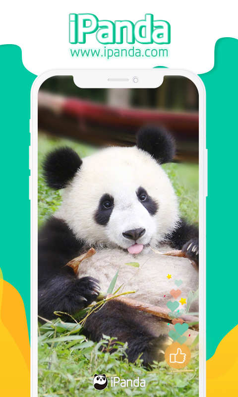 精彩截图-iPanda2026官方新版