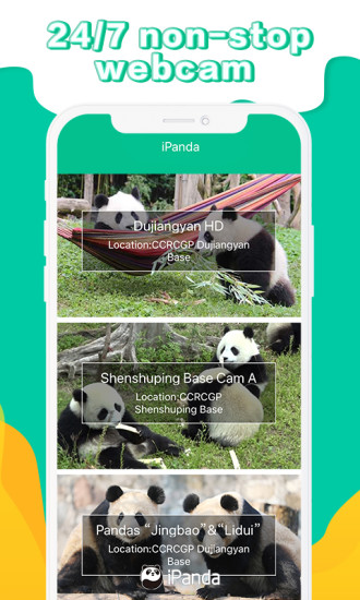 精彩截图-iPanda2024官方新版