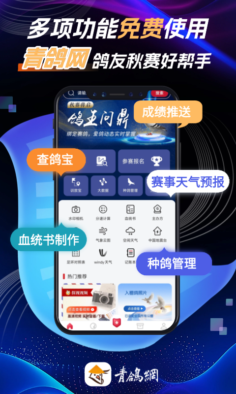 青鸽网 截图 1