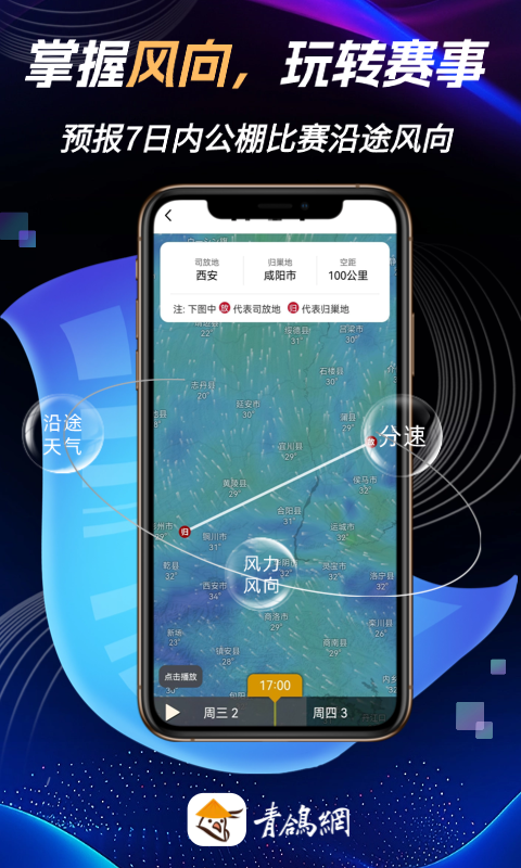青鸽网 截图 2