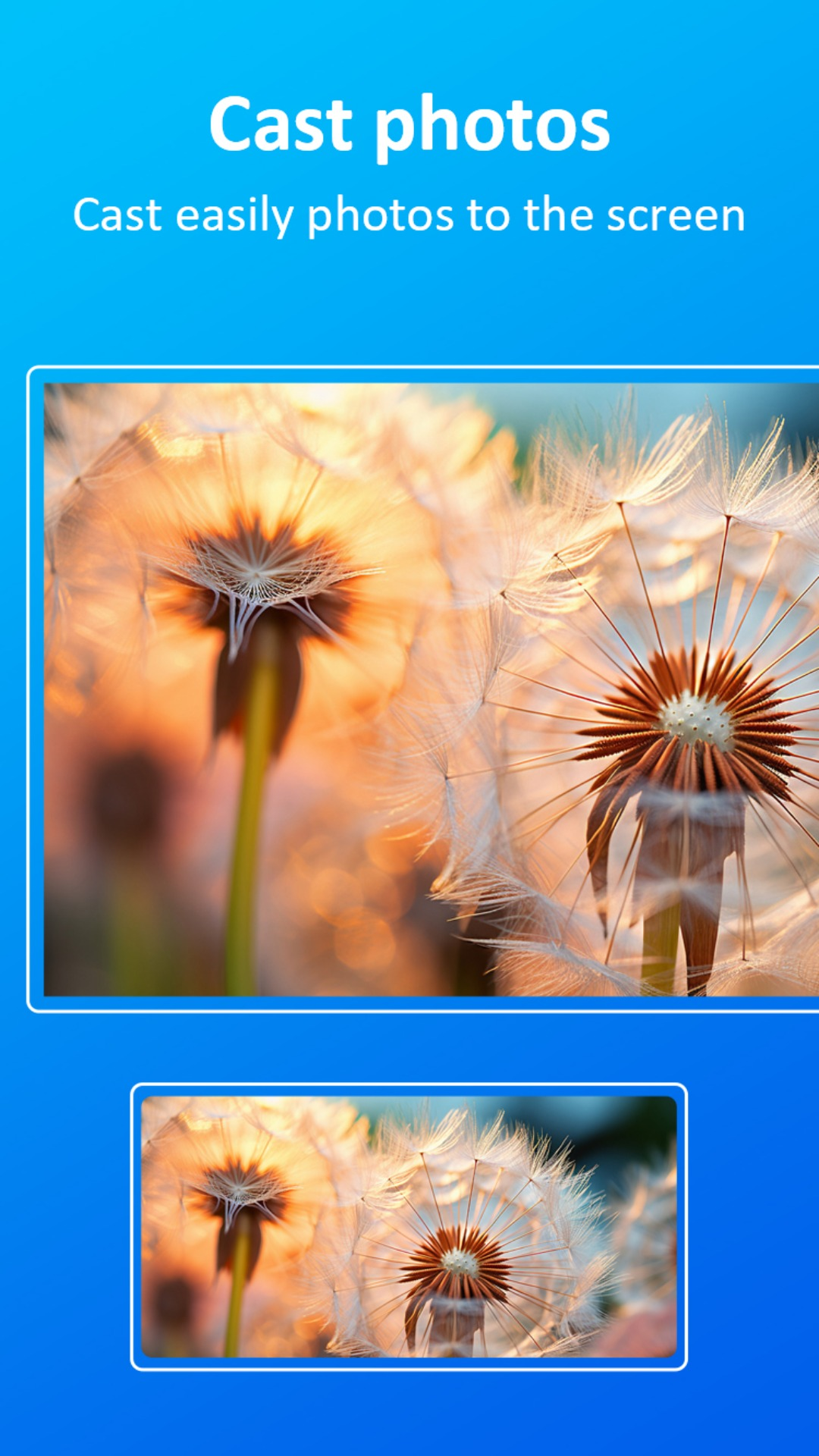 精彩截图-tranScreen2026官方新版