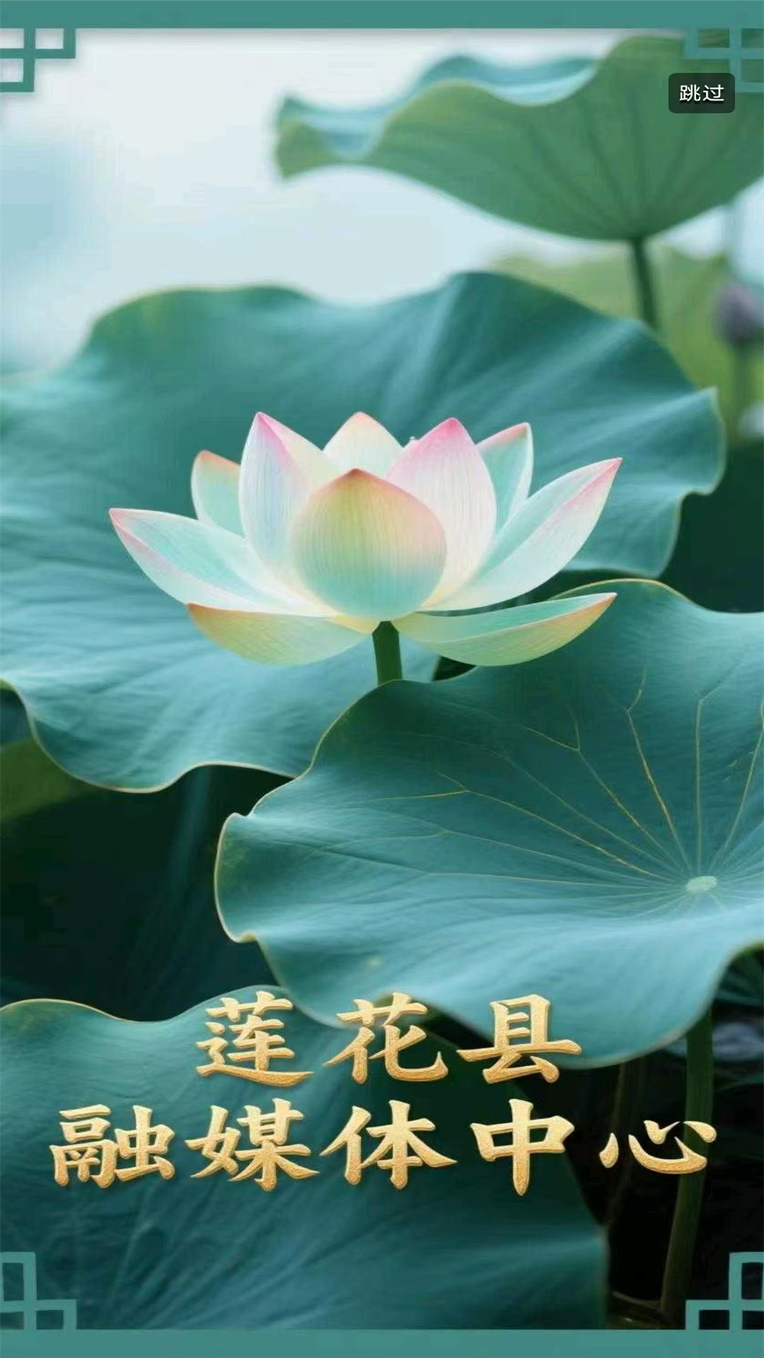 精彩截图-莲花云2026官方新版