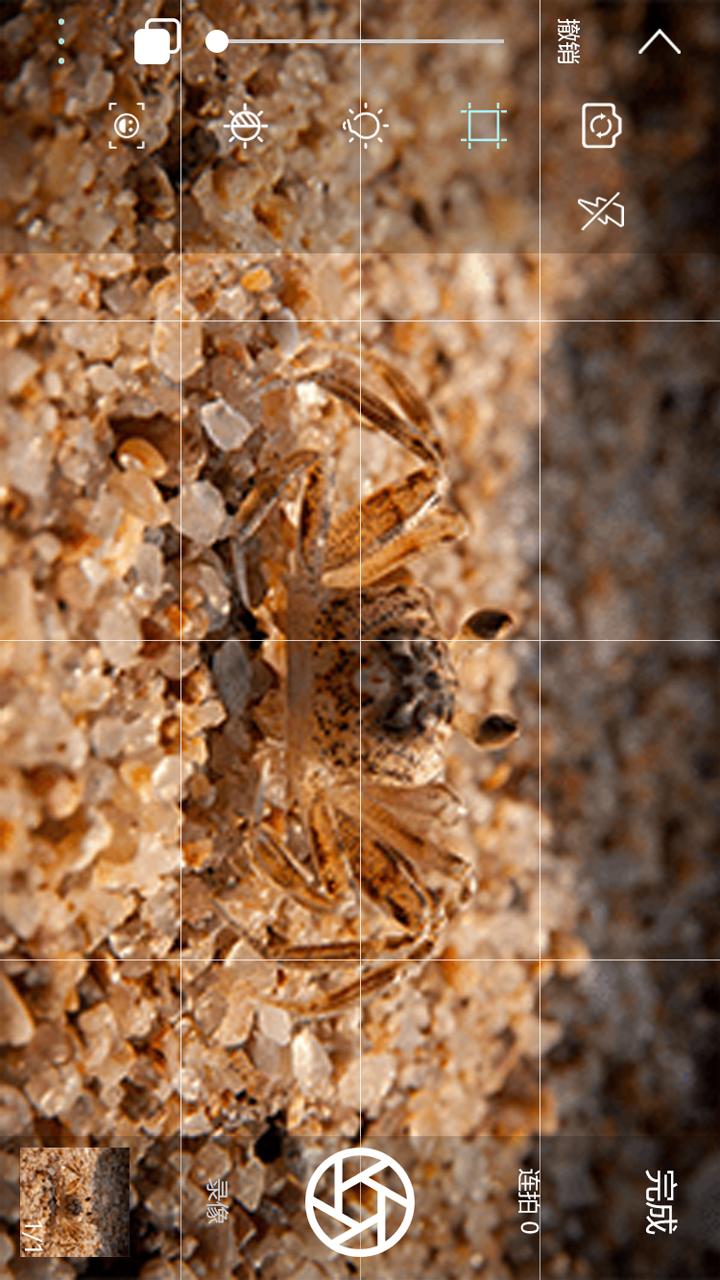 精彩截图-逐格光影2026官方新版