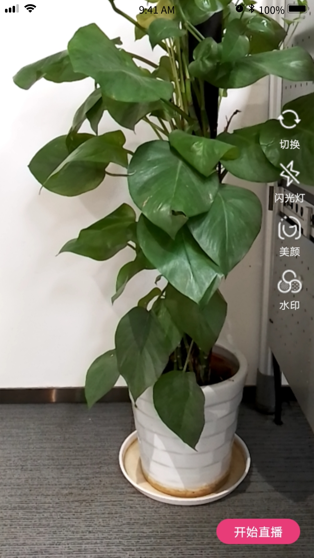 精彩截图-星云融媒2026官方新版