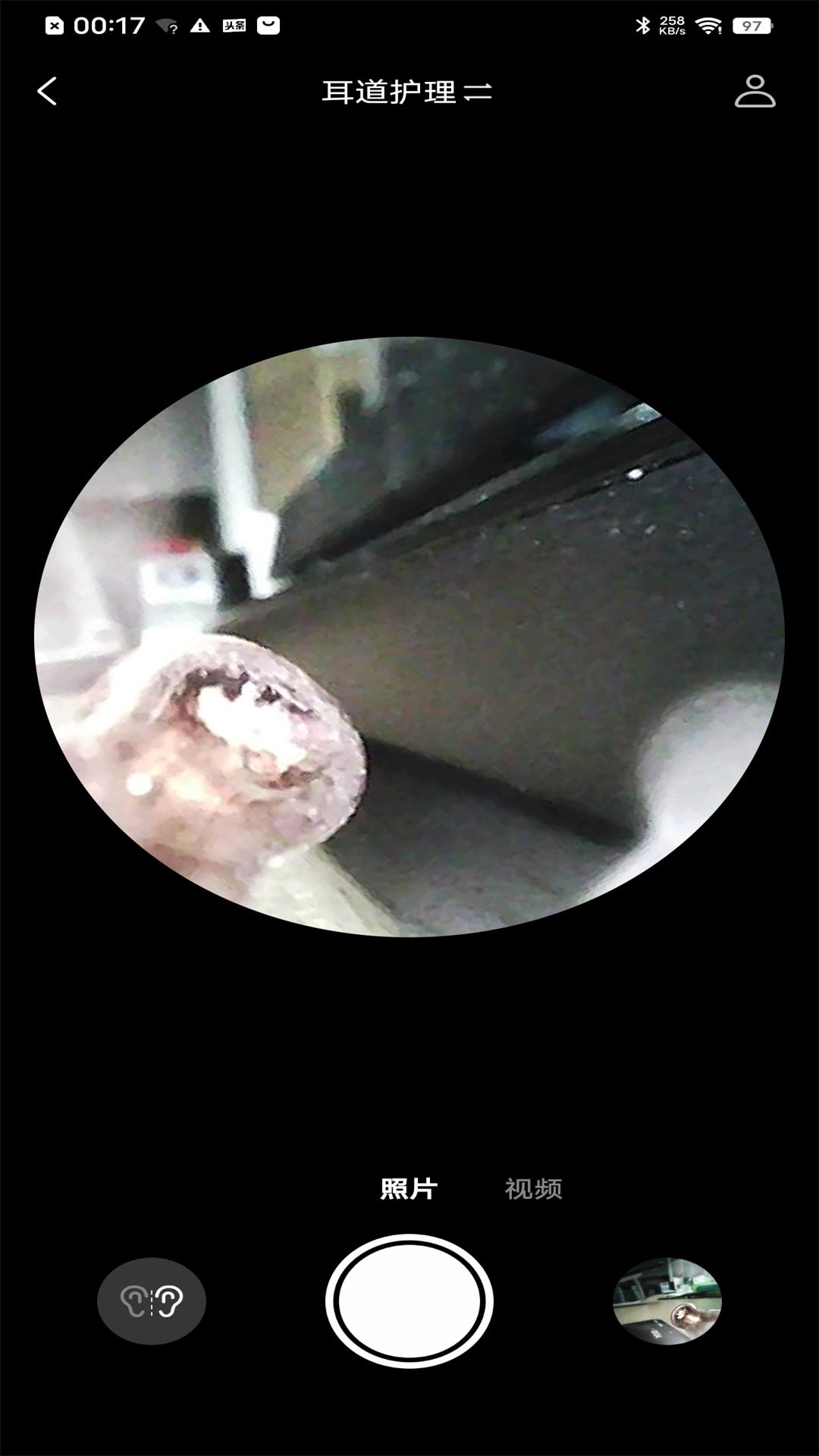 精彩截图-bebird2026官方新版