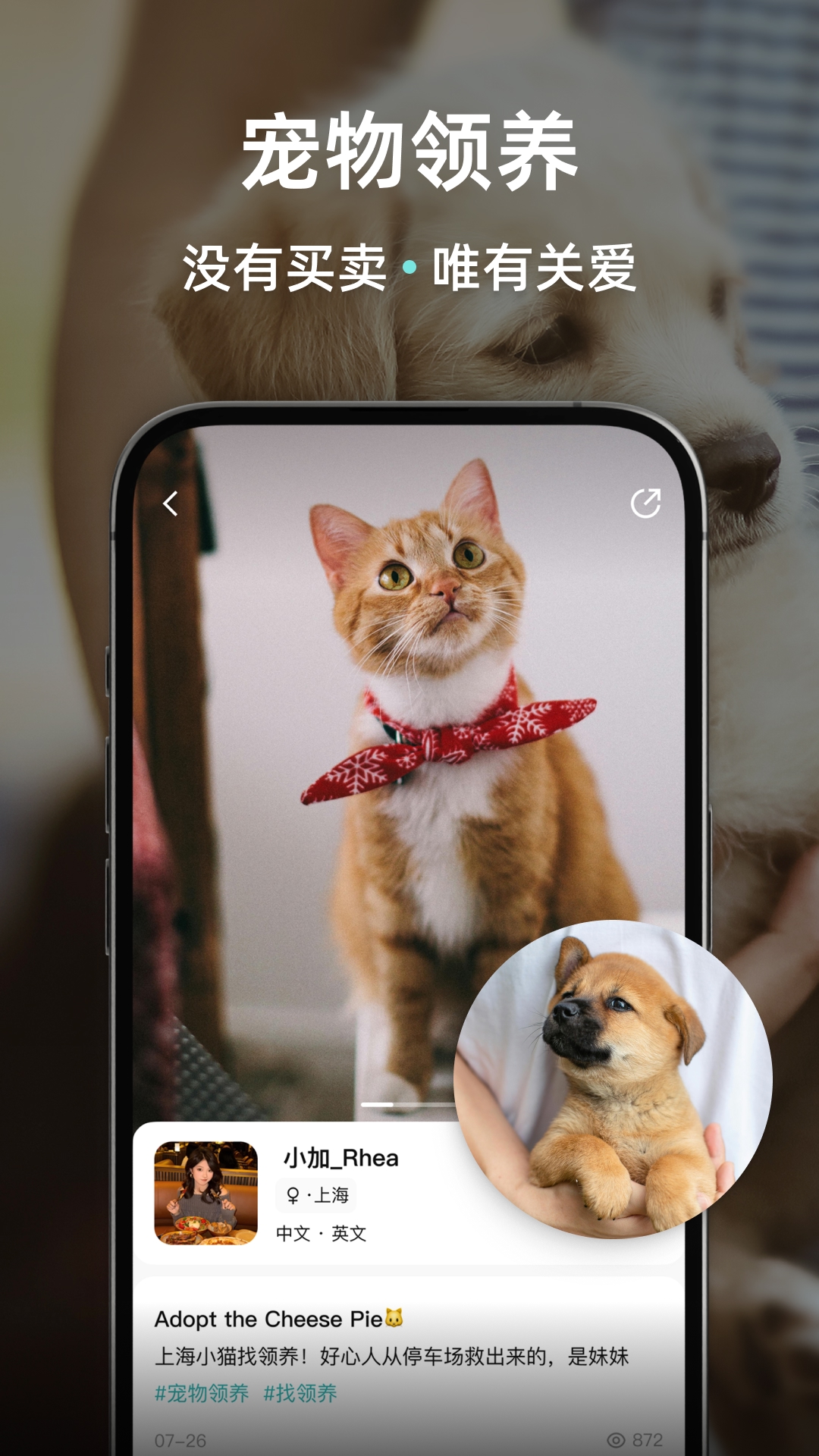 精彩截图-Wellcee2026官方新版