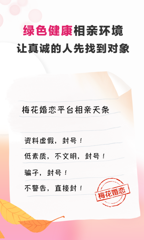精彩截图-梅花再婚相亲2025官方新版