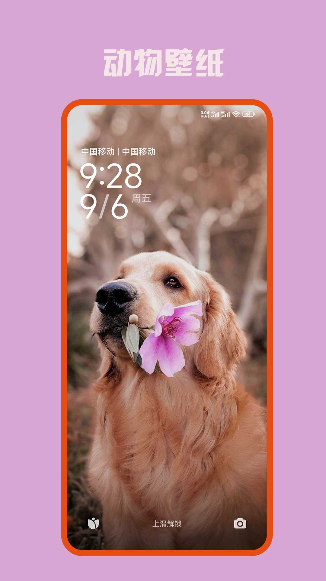 精彩截图-口袋免费壁纸2025官方新版