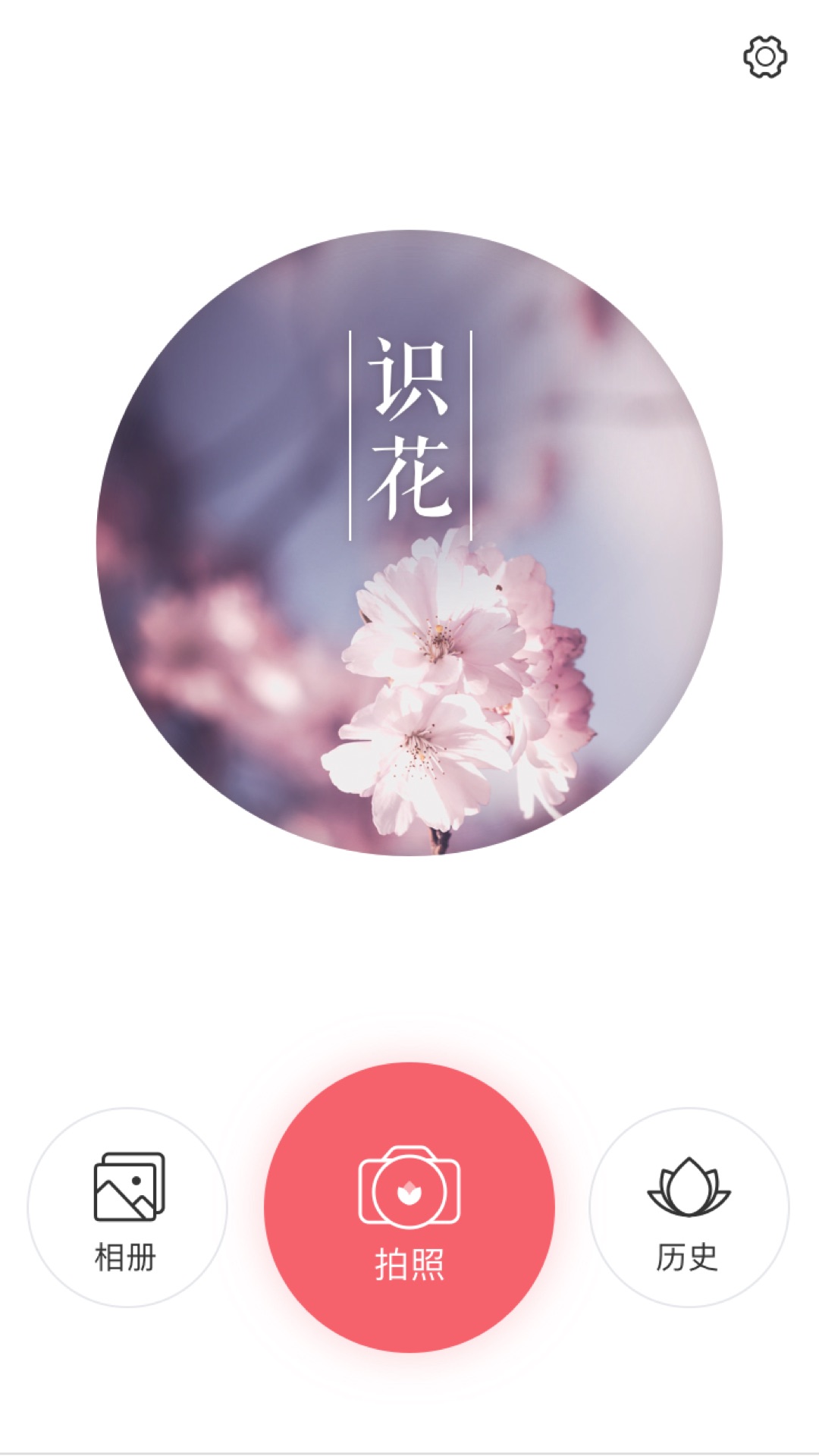 精彩截图-识花2026官方新版