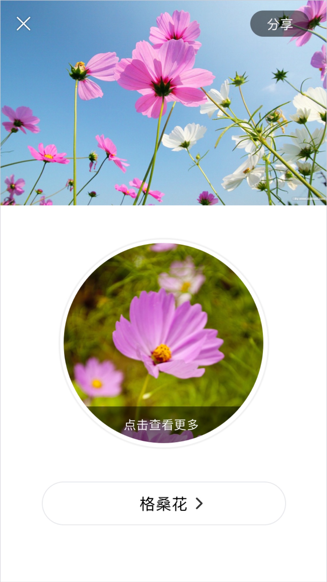 精彩截图-识花2026官方新版