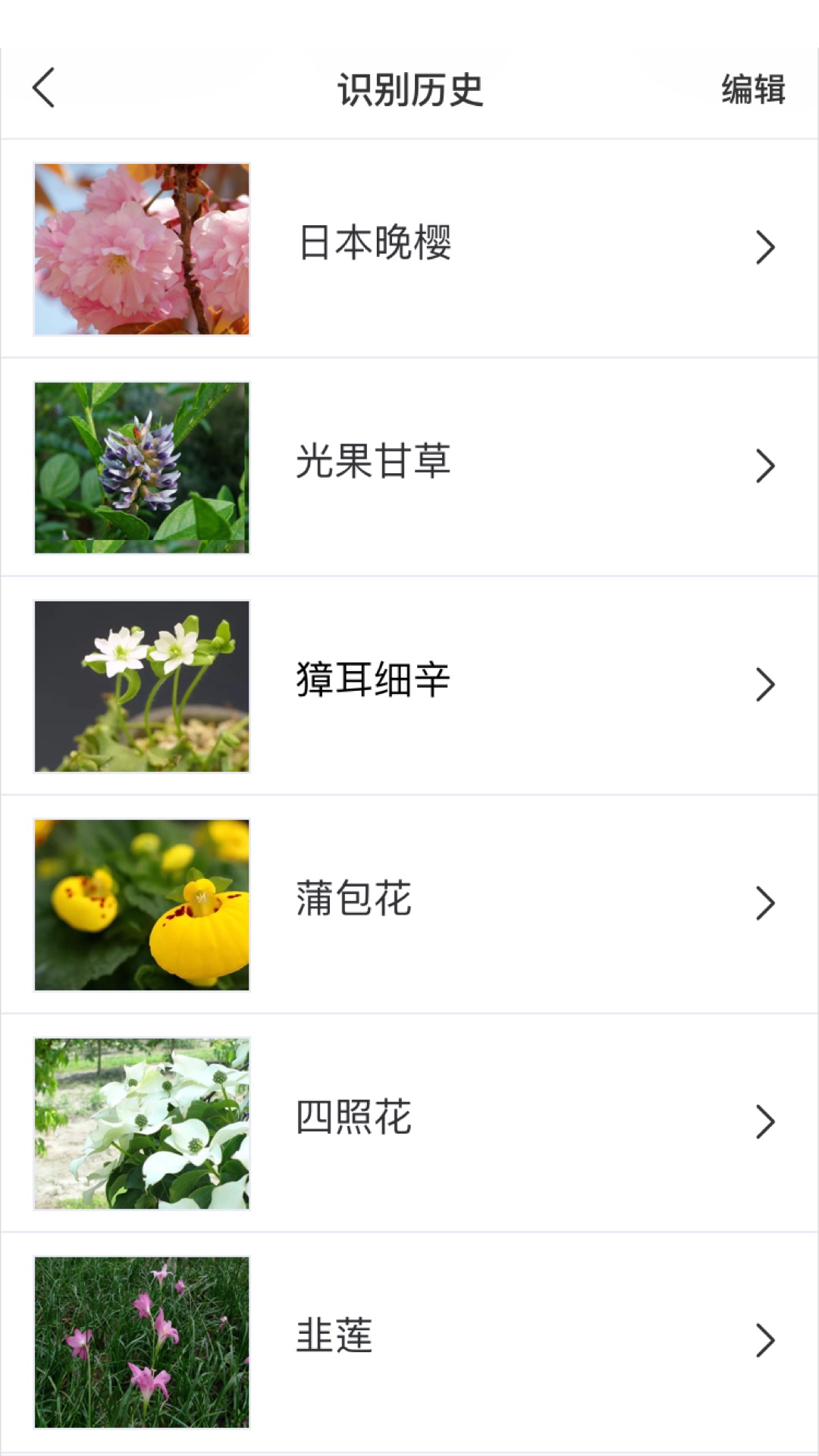 精彩截图-识花2026官方新版