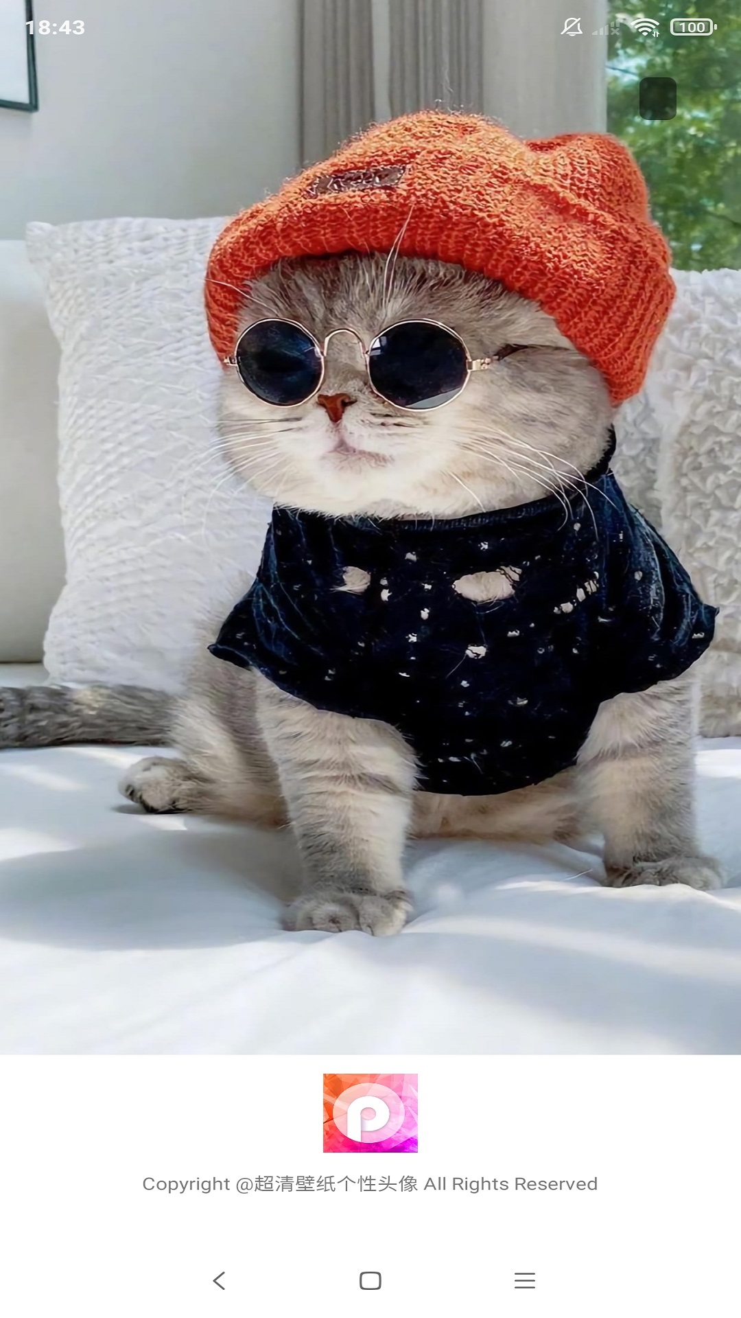 精彩截图-安卓壁纸大师2026官方新版