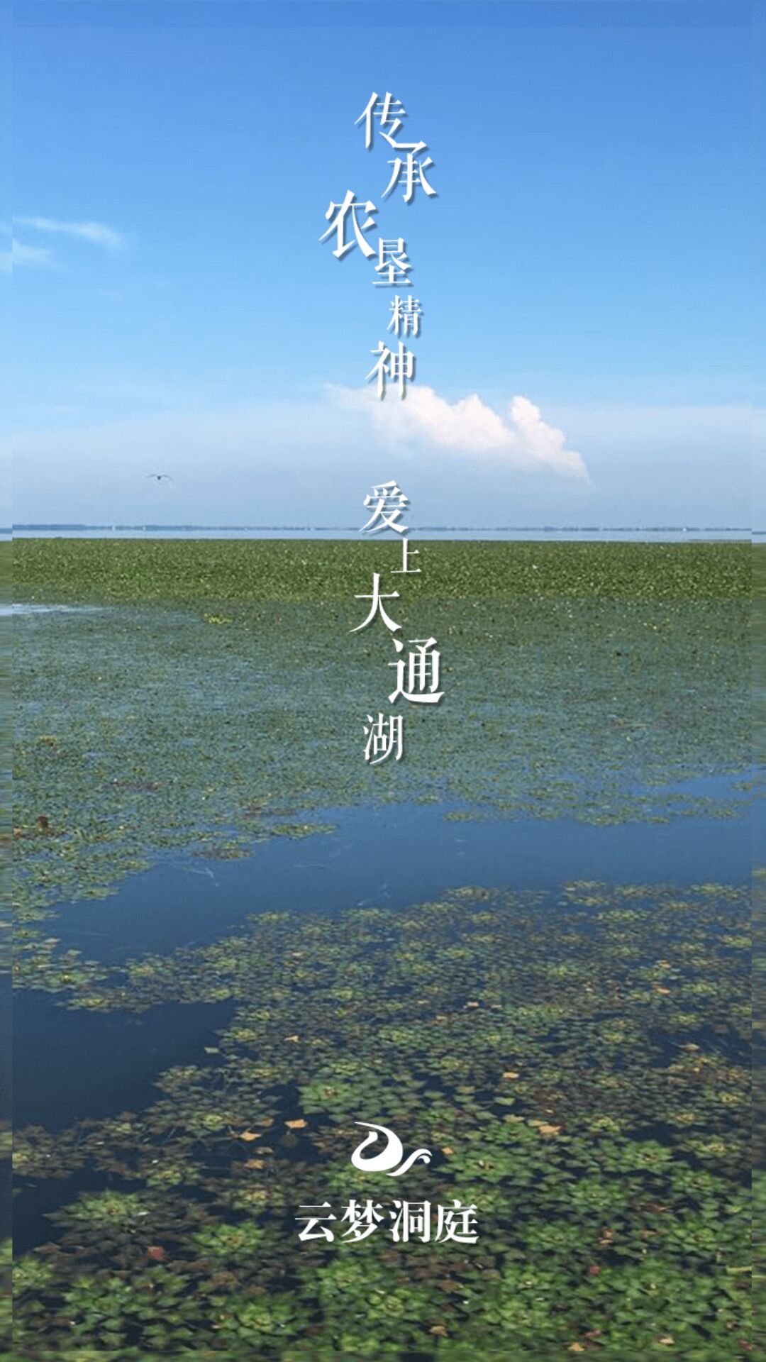 精彩截图-云梦洞庭2025官方新版