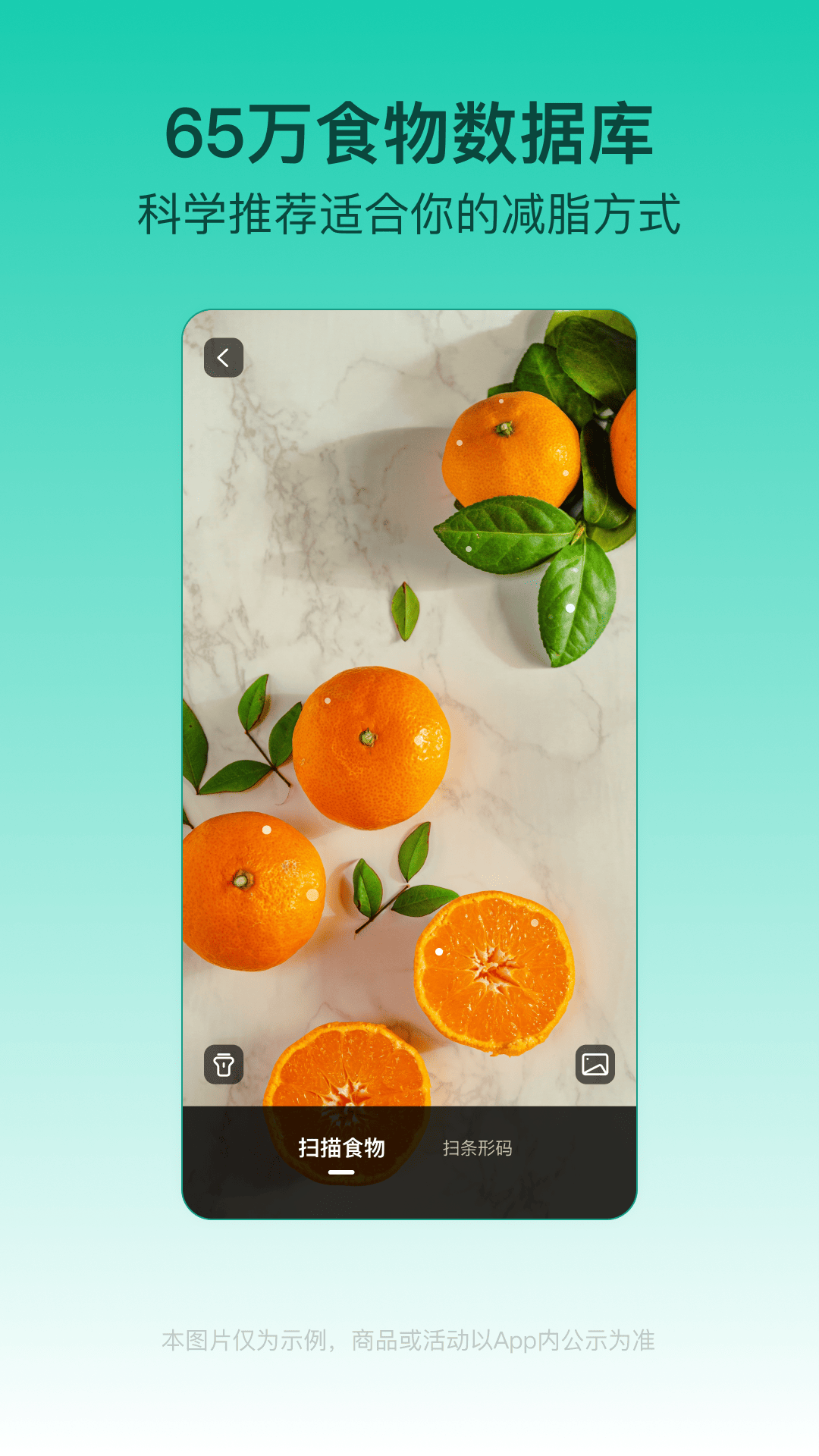 精彩截图-LEFU热量减肥法2025官方新版