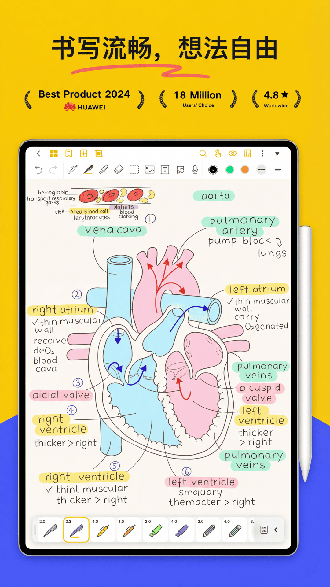 精彩截图-云记2026官方新版