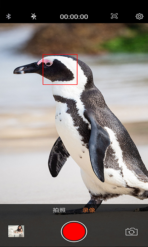 精彩截图-爱随拍2026官方新版