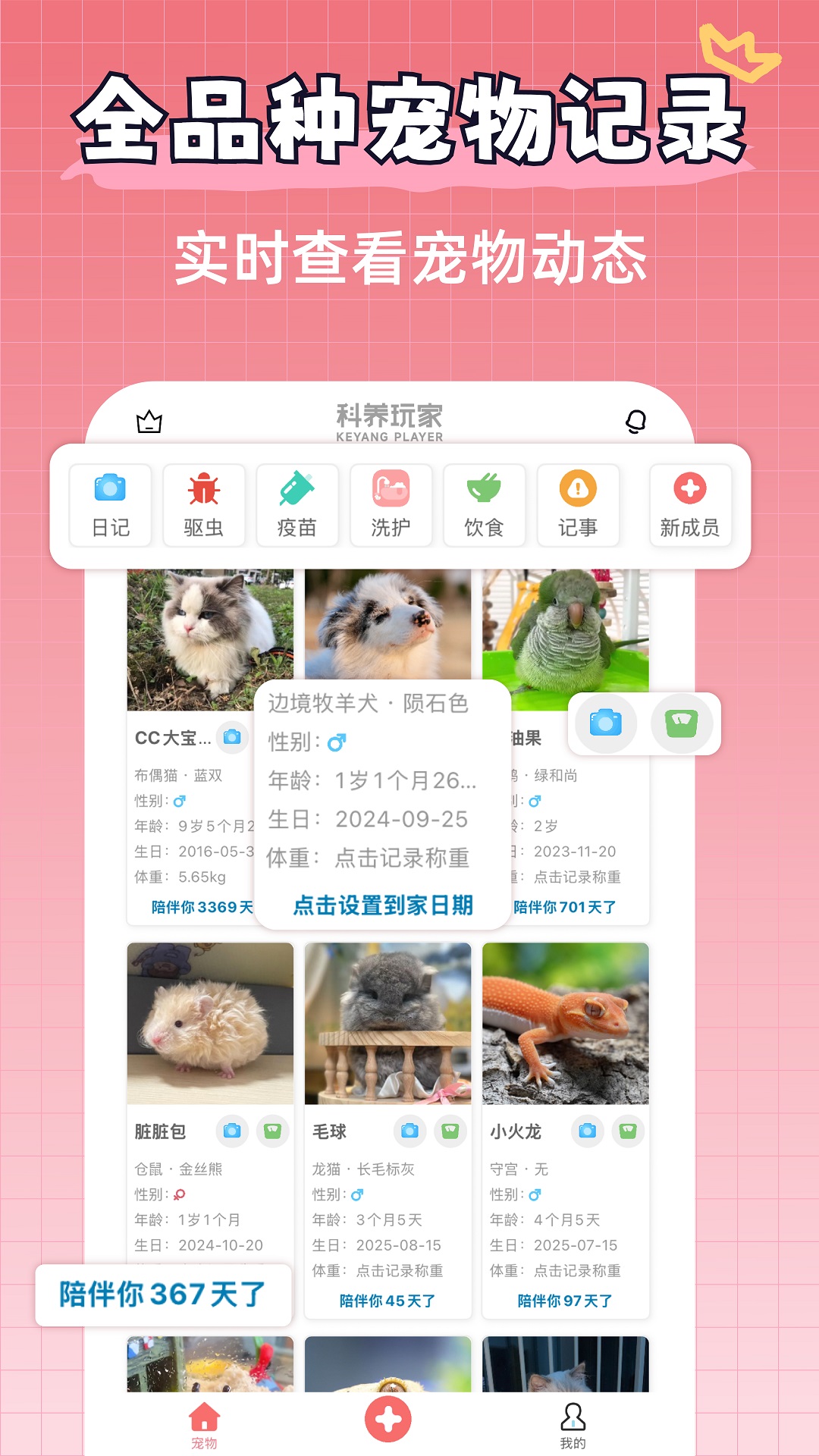 精彩截图-宠物王国2026官方新版