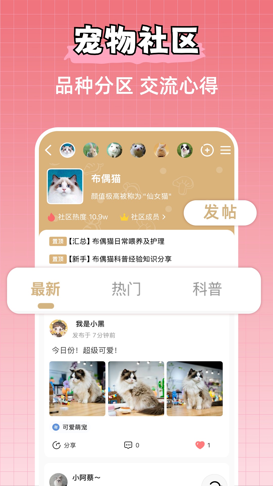 精彩截图-宠物王国2026官方新版