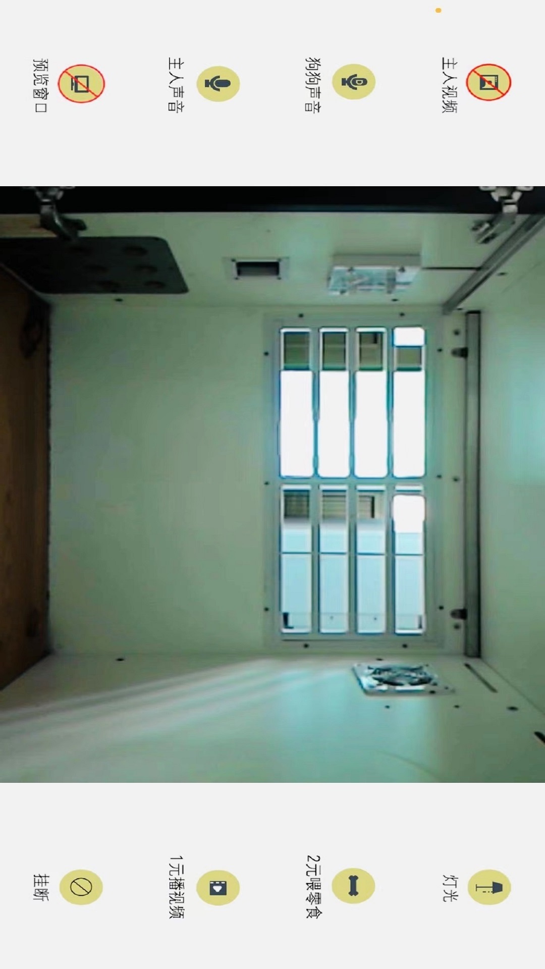 精彩截图-doghome宠物互动寄养软件2025官方新版